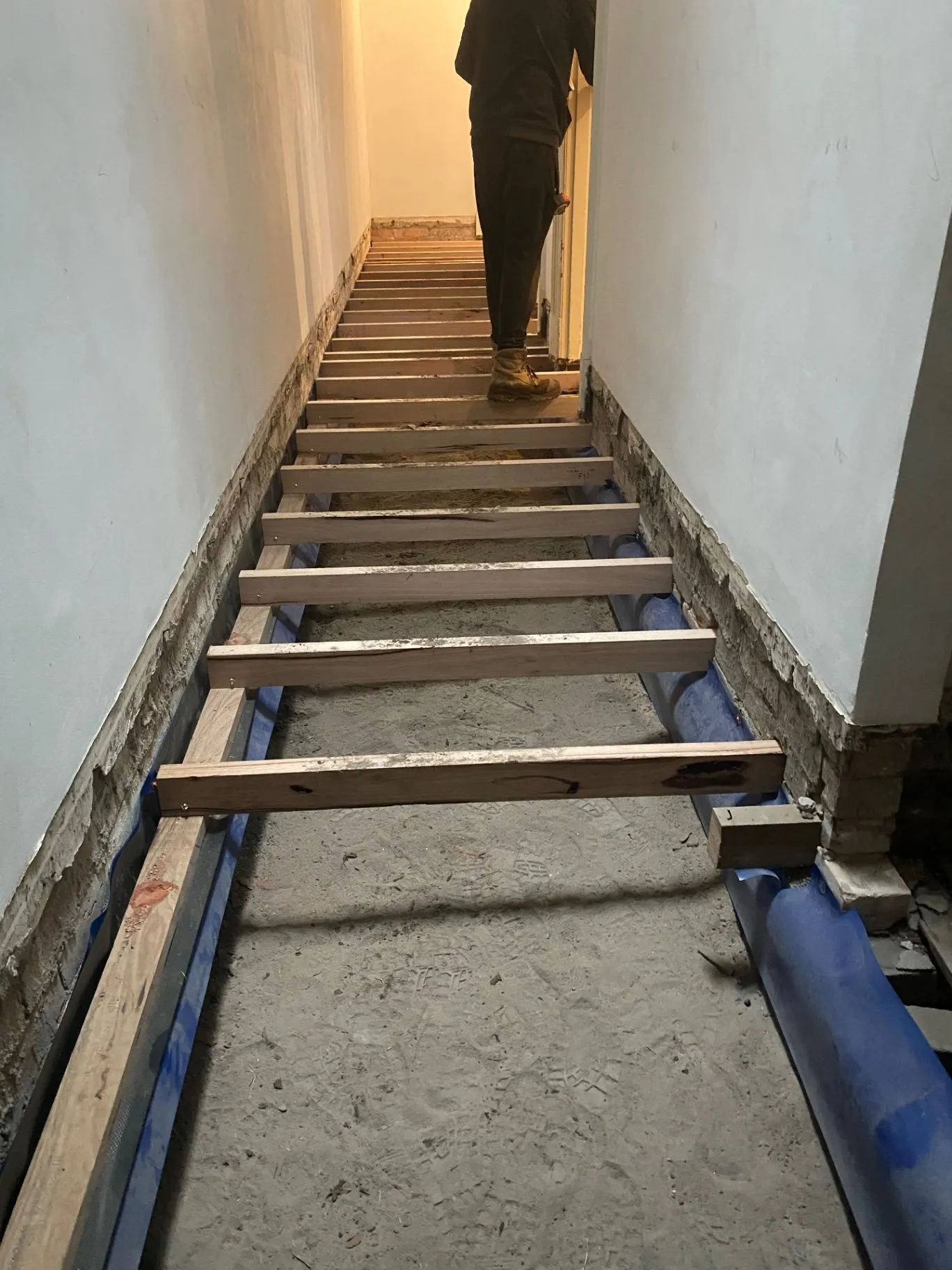 New timber joists spanning the Elsternwick hallway during subfloor repair